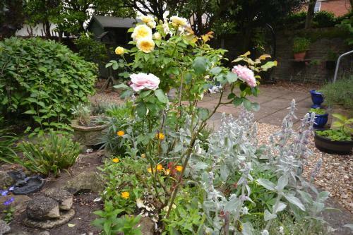 Avalon