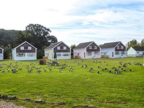 Salterns 2, Seaview IV