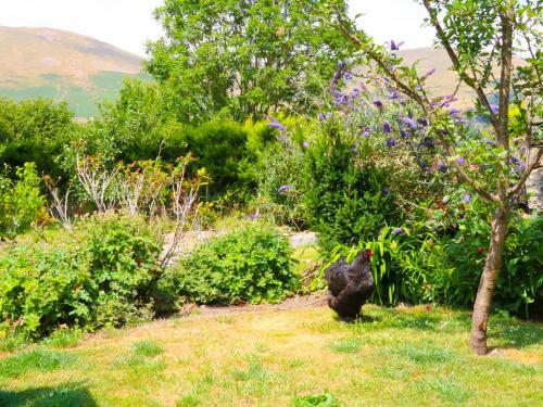 Speight Cottage, Sedbergh