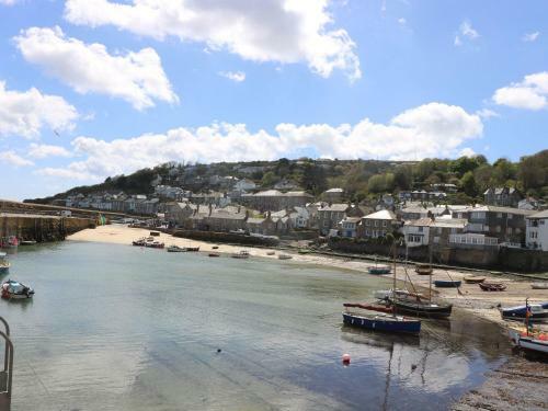 Camellia, Penzance