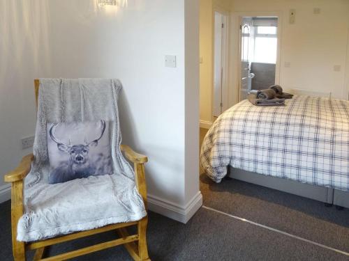 Lilys Pad
