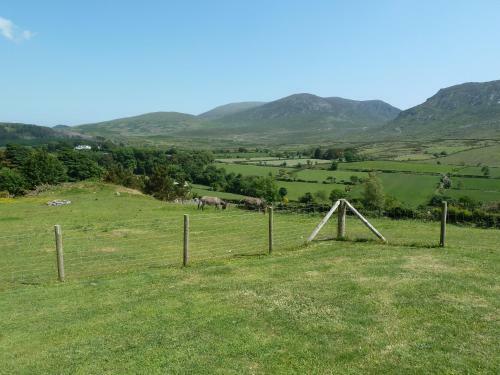 Gorse Hill Glamping