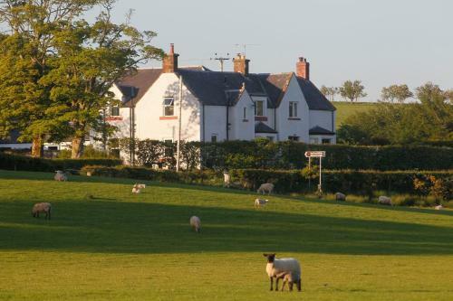 Villa Dalton Green Farmhouse