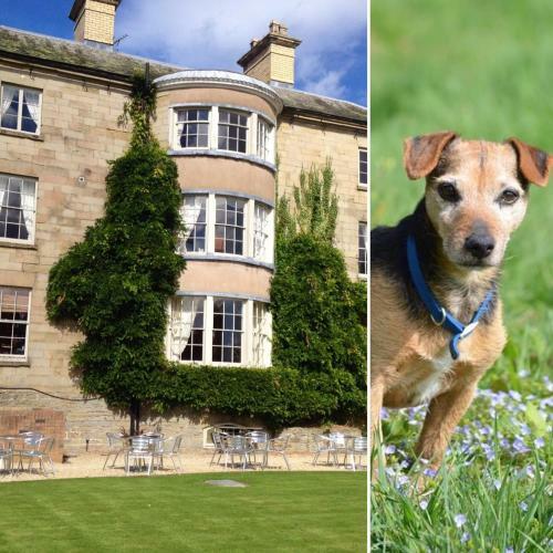 Hotel Dinham Hall & Elliotts Bistro