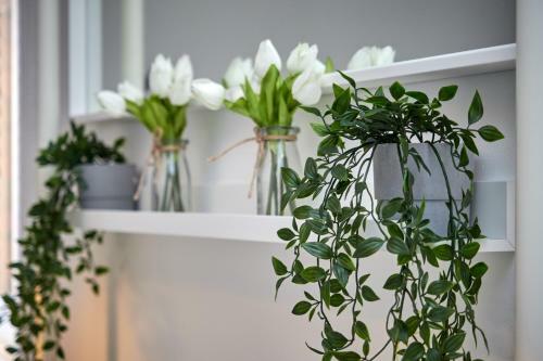 Willow House Luxury Serviced Apartments Lets Manchester