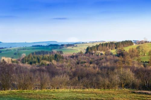 Llethrau Forest & Nature Retreats