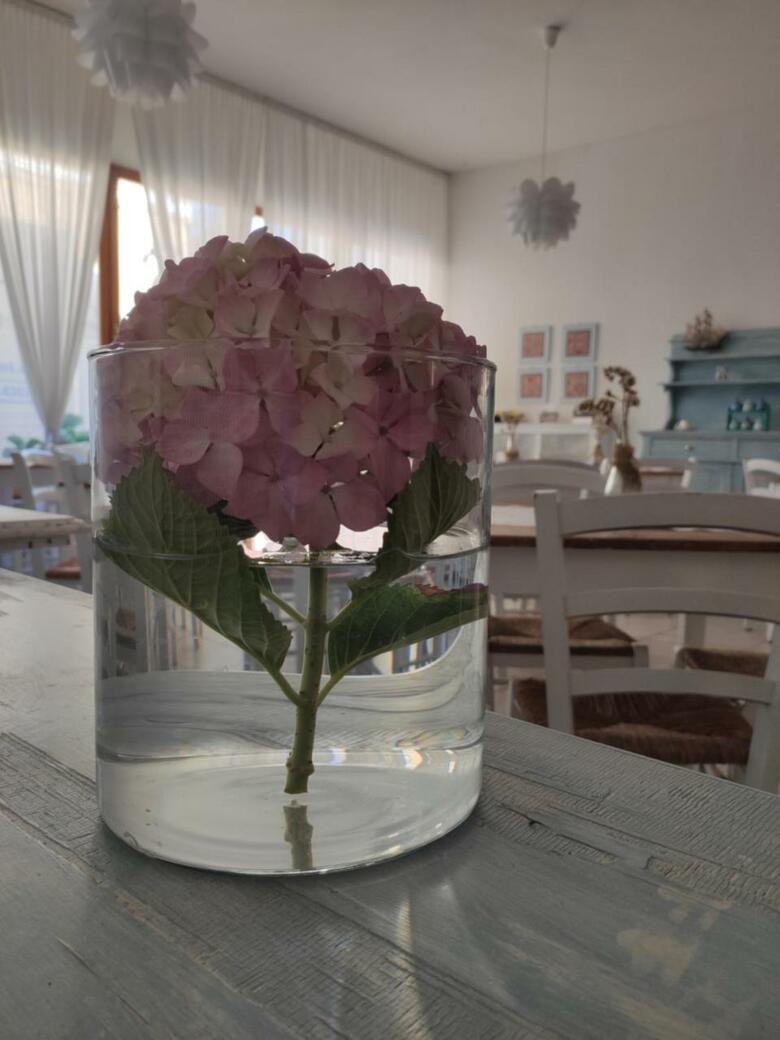 Hotel Imperia