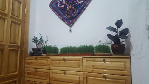 Amir Hostel