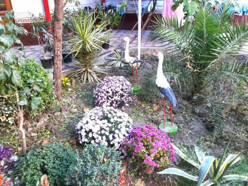 Bed & Breakfast Hotel Rahmon