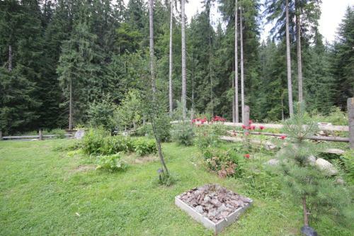 Lodge Guest House Alyaska