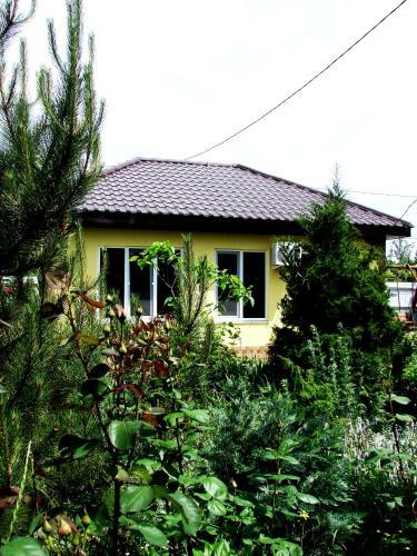 Hostal Svitoch