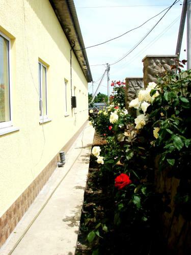 Hostal Svitoch