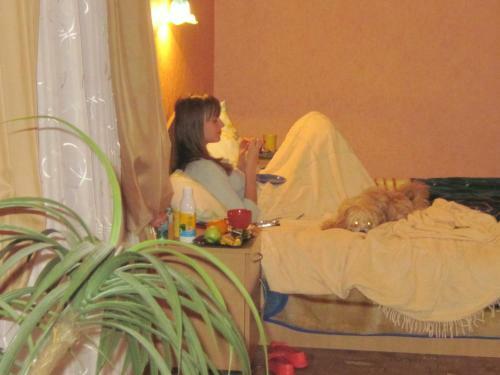 Economy Hotel Fiesta