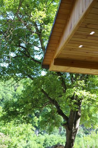 Apartment In The Canyon