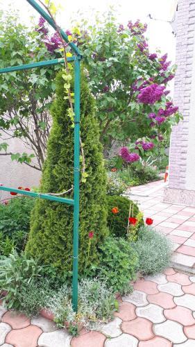 Hostal Guest House Zhemchuzhnyy 1