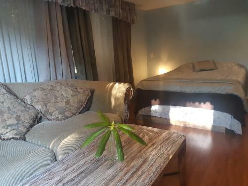 Hostal Burris Guest House