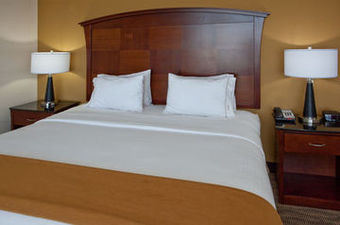 Holiday Inn Express Hotel & Suites Austin South-buda