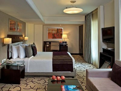 Hotel Park Plaza (superior)