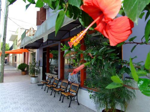 Hotel Iris