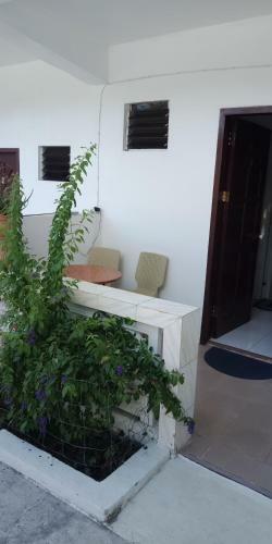 Albergue Just Chill Inn