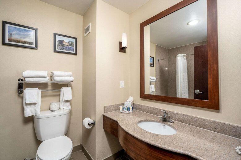 Hotel Comfort Suites University