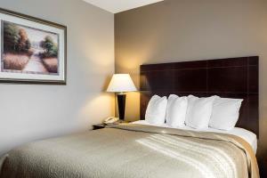 Hotel Quality Inn & Suites