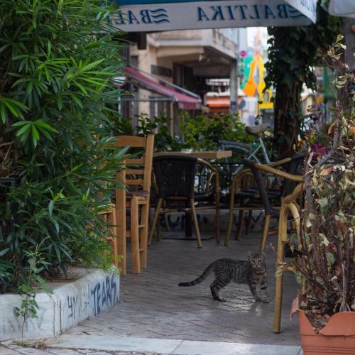 Acropolis Hostel