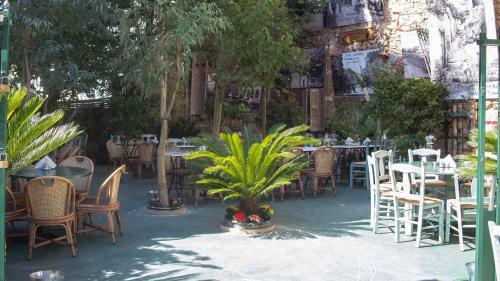 Acropolis Hostel