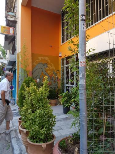 Acropolis Hostel