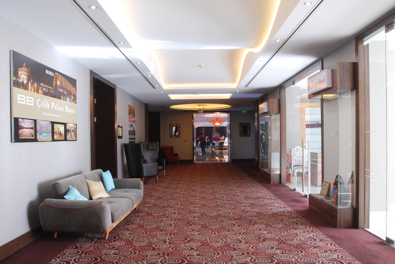 Hotel Celik Palas