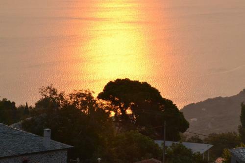 Hostal Guesthouse Filyra