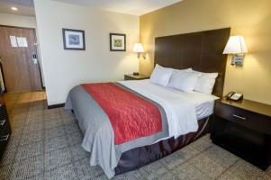 Hotel Comfort Inn & Suites