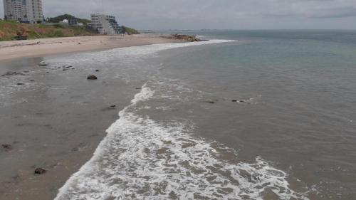 Ocean Club Apartment 401