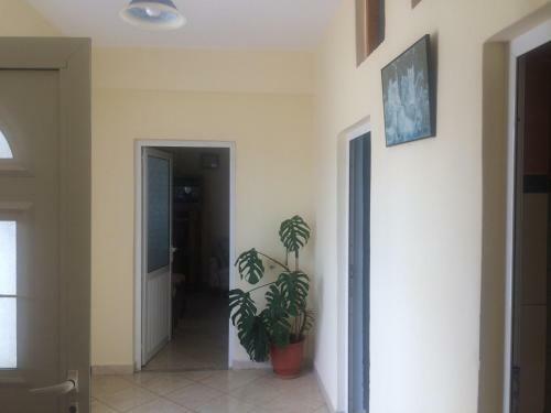 Amantia Apartments
