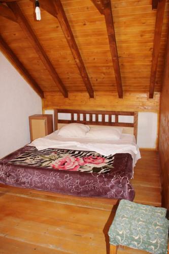 Valbona Valley Home