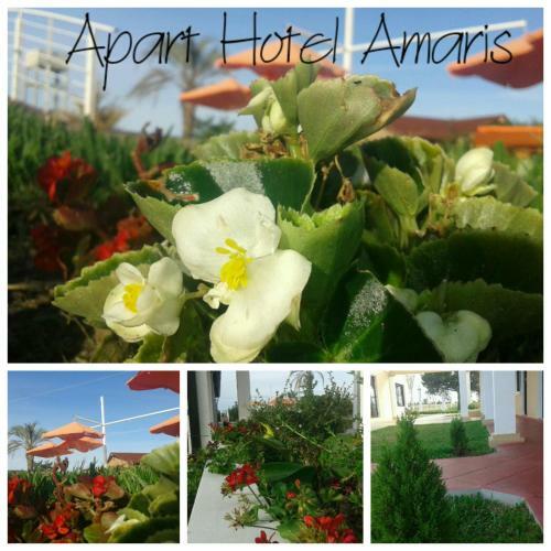 Apart Hotel Amaris