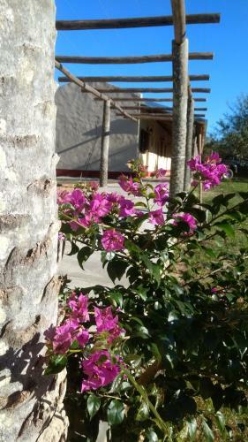 Bed & Breakfast Posada Mboy Cua