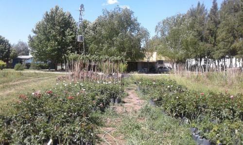 Posada R�o Tala