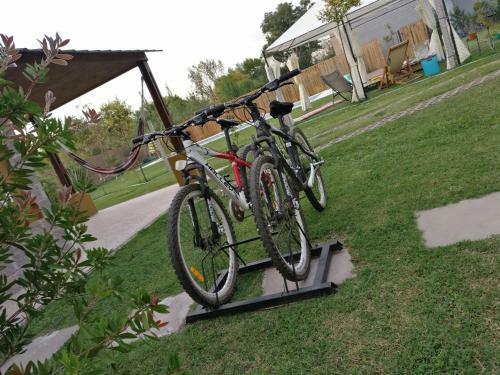 Lodge Las Palmeras Complejo De Caba�as