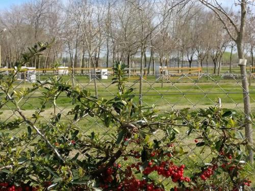 Lodge Las Palmeras Complejo De Caba�as
