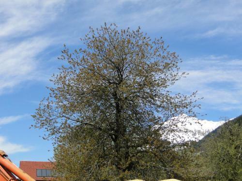 Apartamento Ferienwohnung Nicole