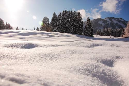 Hotel Herzen�s Landhaus