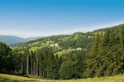 Hostal Forellenwirt Bacher