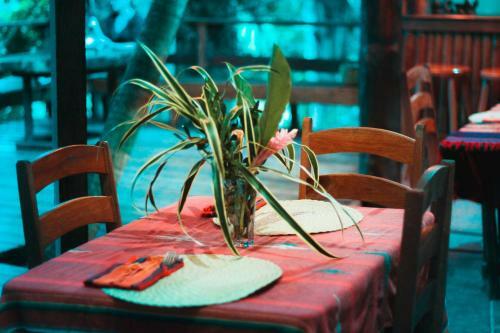 Hotel Cohune Palms River Cabanas