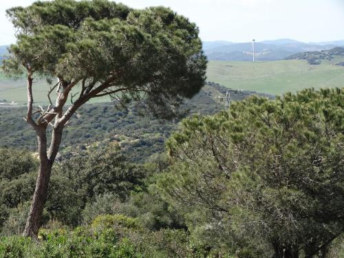 Apartamento Alojamiento Rural El Lario