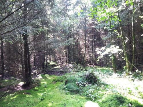 Luxurious Apartment In Ulmen Near Lake