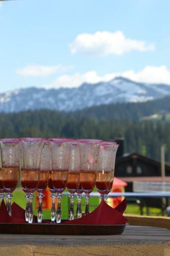 Hotel Winklmoos Sonnenalm