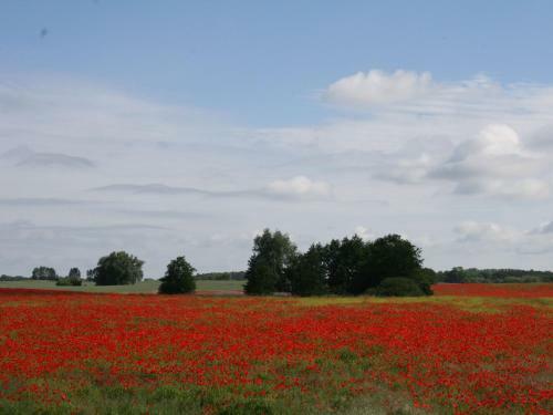 Welcoming Apartment With Naturistic Views In Restchow