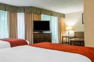 Hotel Comfort Suites South Burlington