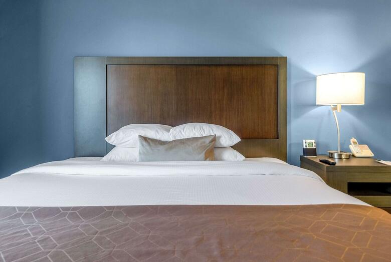 Hotel Wingate By Wyndham Schaumburg / Convention Center